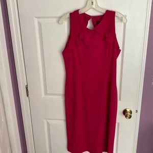 Worn Once Hot Pink Dress